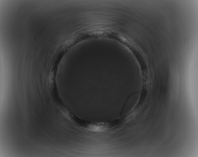 X0000085220563200703301706