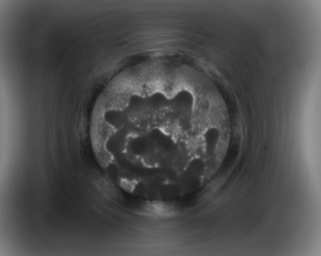 X0000085220565200703301706