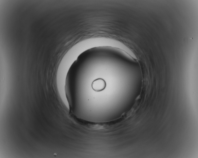 X0000085220566200703301706