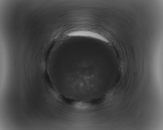 X0000085220568200703301706