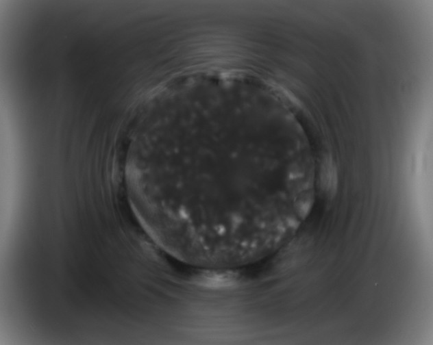 X0000085220569200703301706