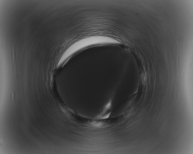 X0000085220570200703301706