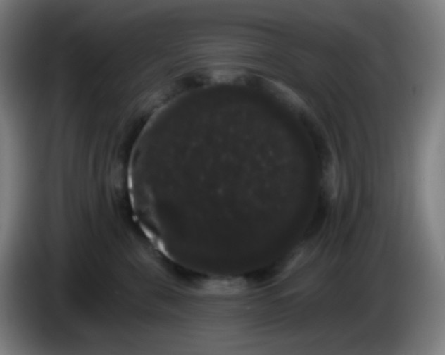X0000085220571200703301706