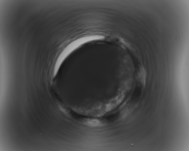 X0000085220572200703301706