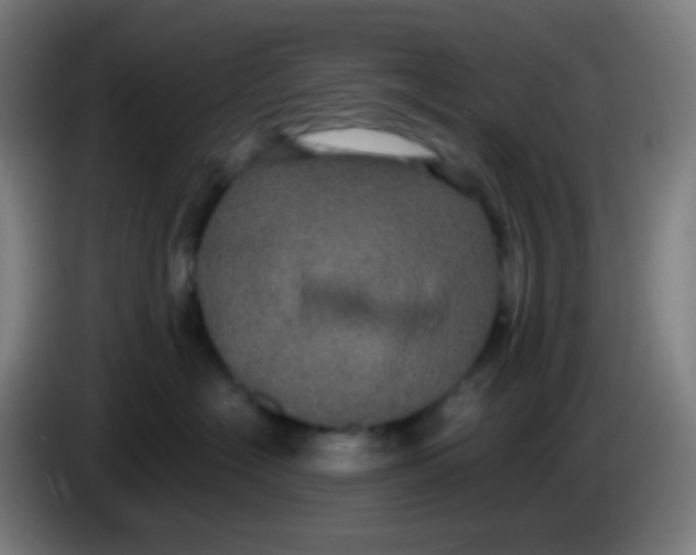 X0000085220574200703301706