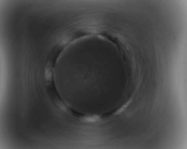 X0000085220576200703301706