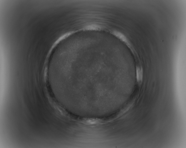 X0000085220579200703301705