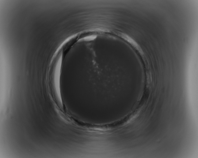 X0000085220580200703301705