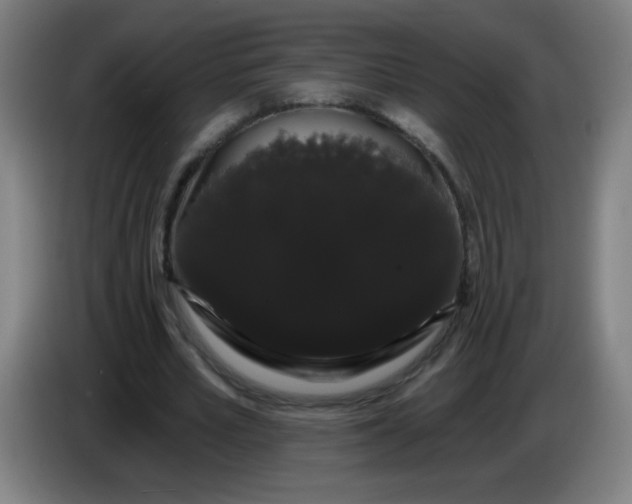X0000085220581200703301705