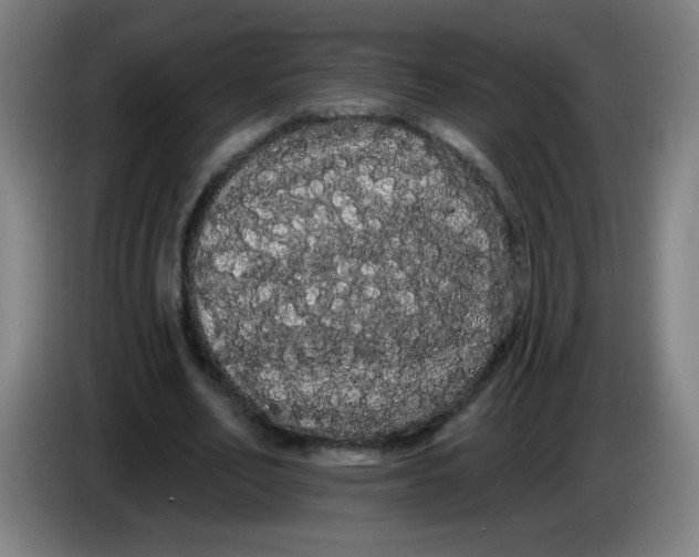 X0000085220582200703301705