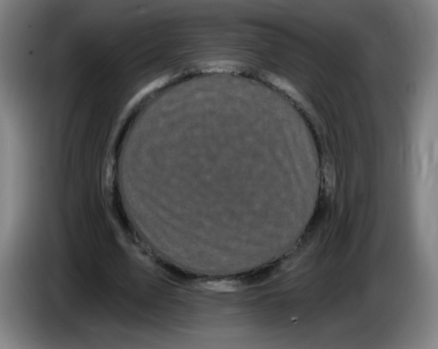 X0000085220583200703301705