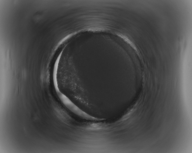 X0000085220584200703301705