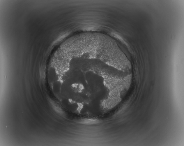 X0000085220586200703301705