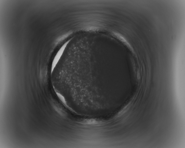X0000085220588200703301705