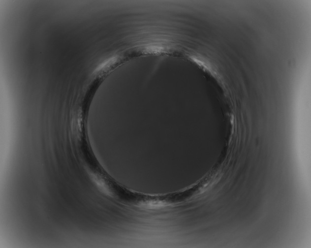 X0000085220590200703301705