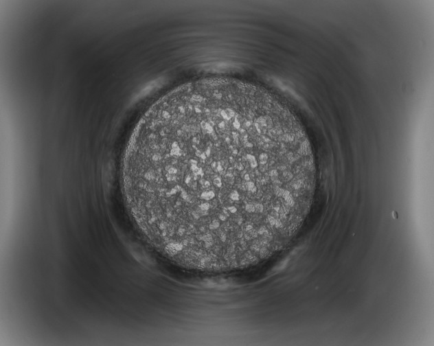 X0000085220591200703301705