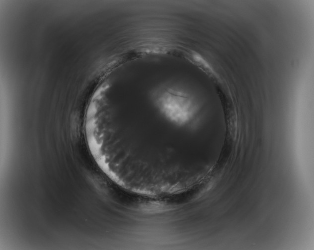 X0000085220594200703301705