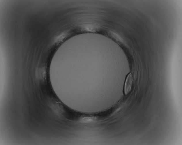 X0000085220595200703301705