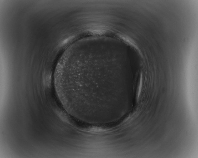 X0000085220596200703301705