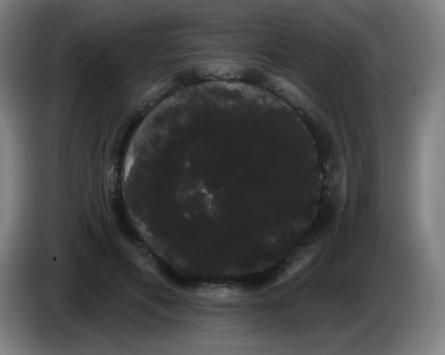 X0000085220597200703301705