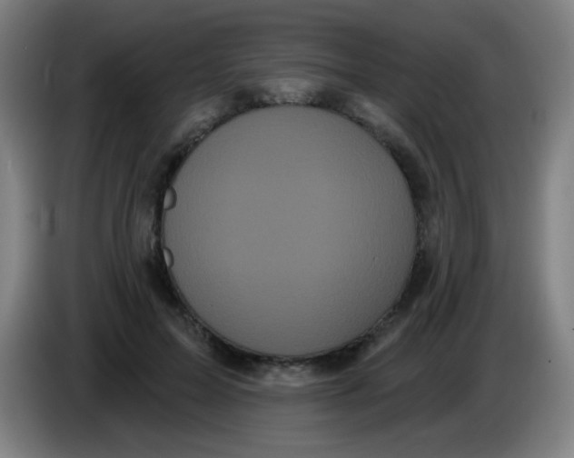 X0000085220599200703301705