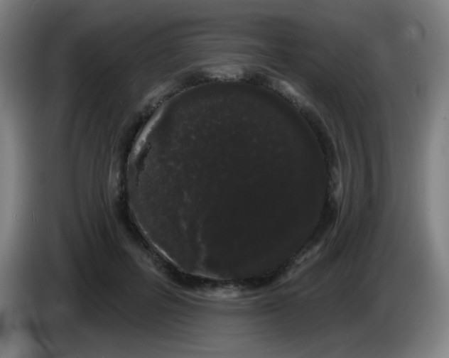 X0000085220600200703301705