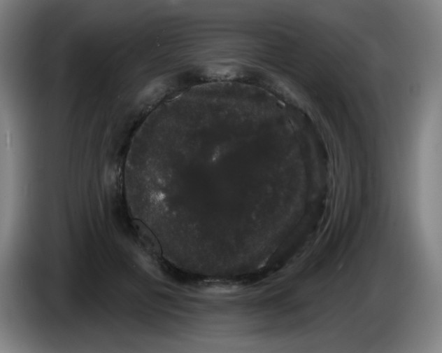 X0000085220601200703301705