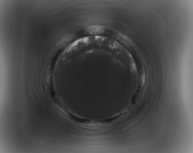 X0000085220604200703301705