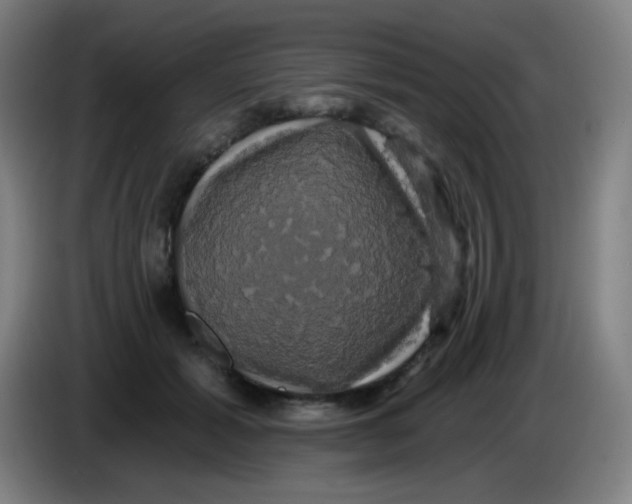 X0000085220605200703301705