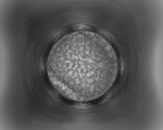 X0000085220607200703301705