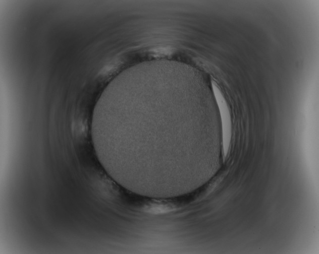 X0000085220608200703301705