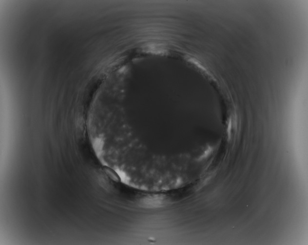 X0000085220609200703301705