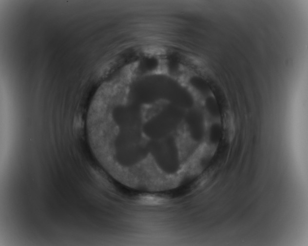 X0000085220614200703301705