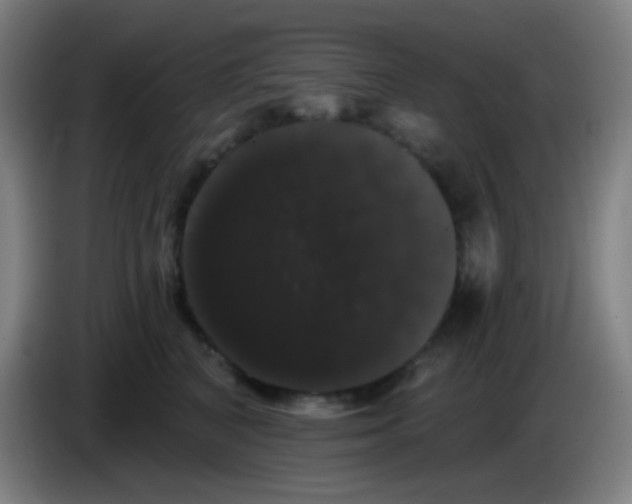 X0000085220616200703301705