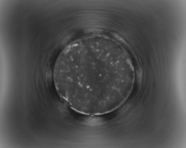 X0000085220617200703301705