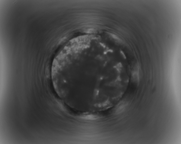 X0000085220620200703301705