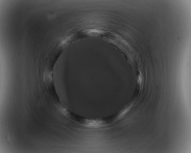 X0000085220621200703301705
