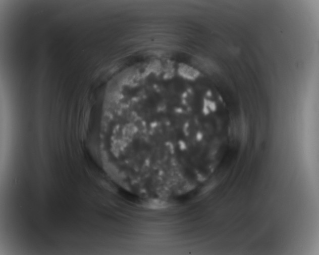 X0000085220623200703301704