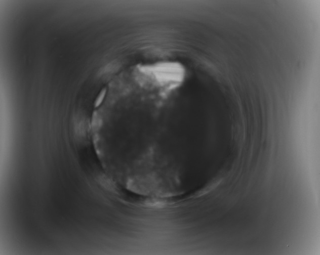 X0000085220624200703301704