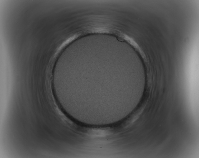 X0000085220625200703301704