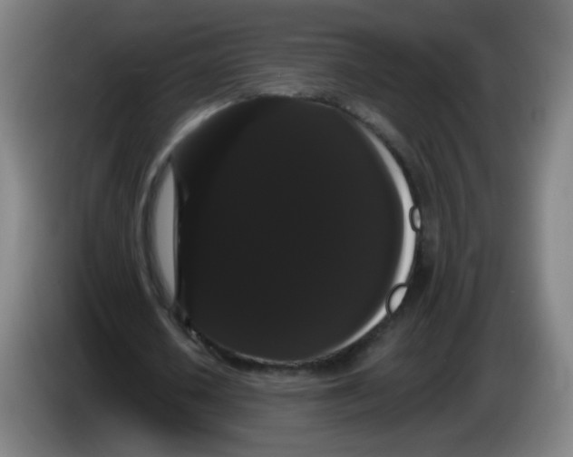 X0000085220626200703301704