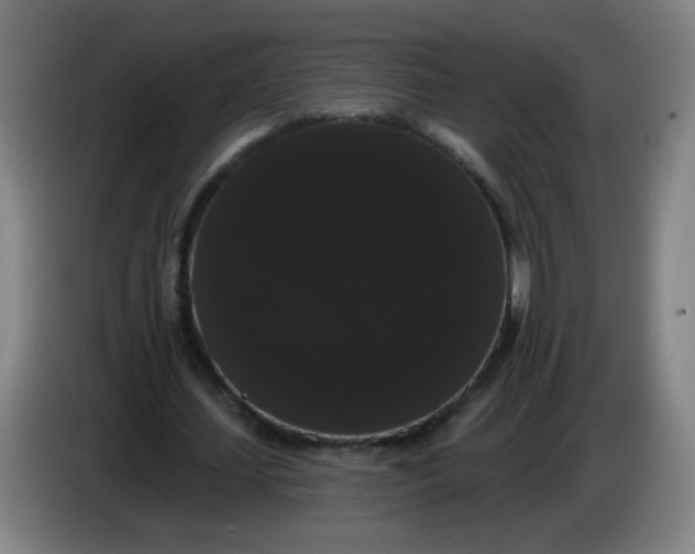 X0000085220627200703301704
