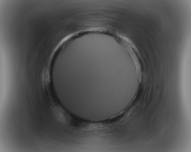 X0000085220628200703301704
