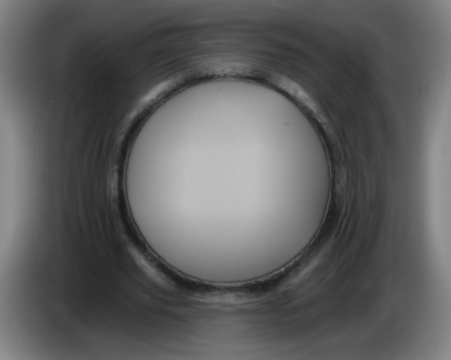 X0000085220629200703301704