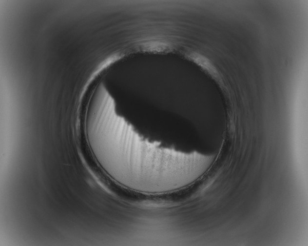 X0000085220630200703301704