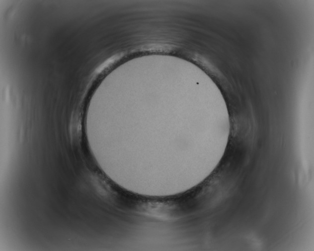 X0000085220632200703301704