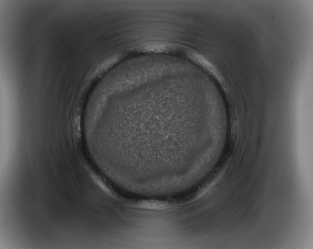 X0000085220633200703301704