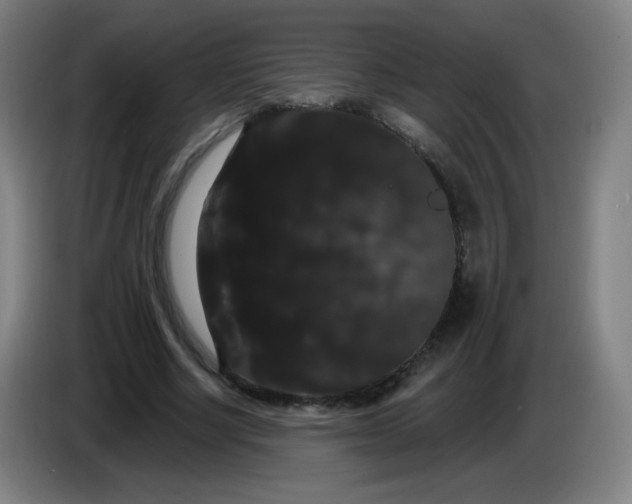 X0000085220634200703301704