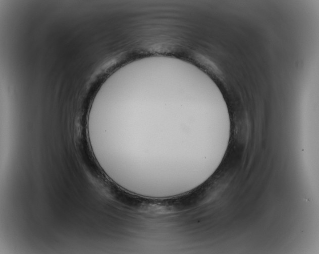 X0000085220635200703301704