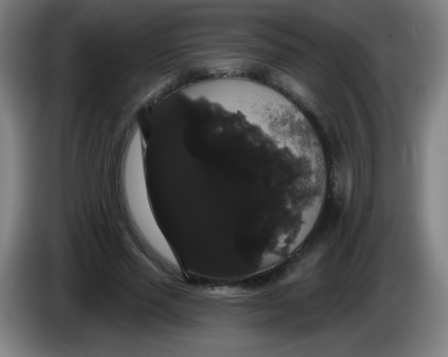 X0000085220637200703301704